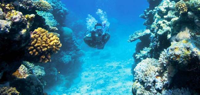 Panama La Vieja Express Tour