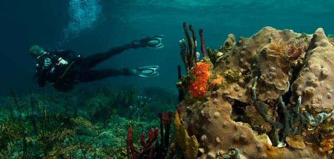 Panama City Past to Present Combo Tour