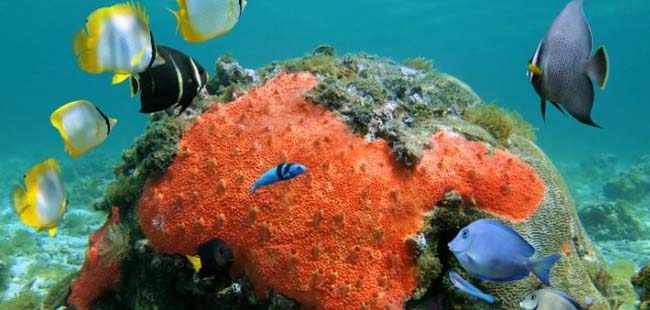 San Blas Islands One Day Explorer