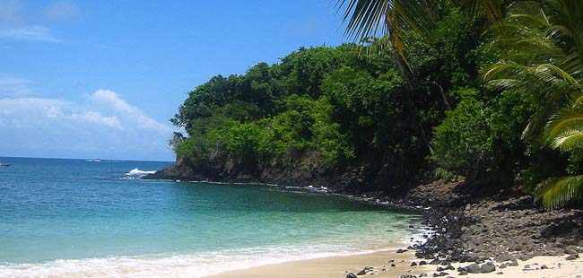 Boquete Cloud Forest Hike + Gulf of Chiriqui Snorkel