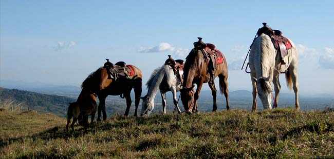 Hot Springs by Horseback Tour