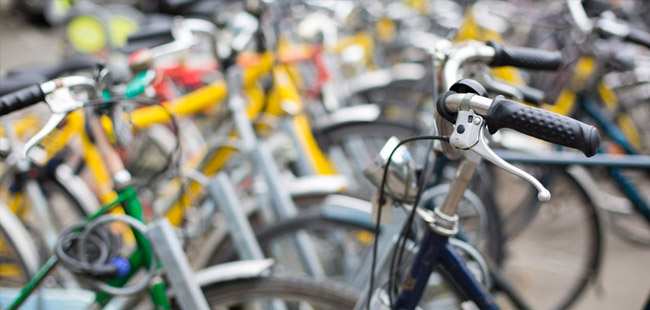 Pearl Islands Whale Watching