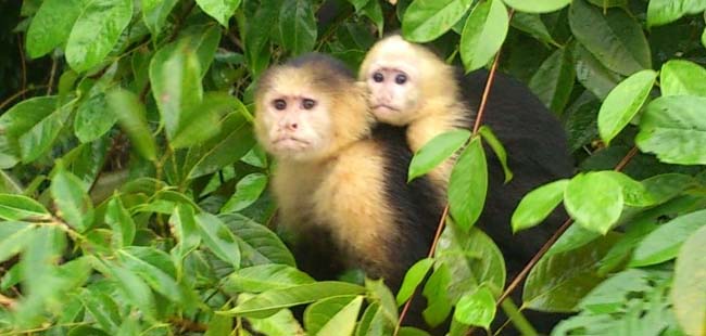 Panama City & Panama Canal Tour