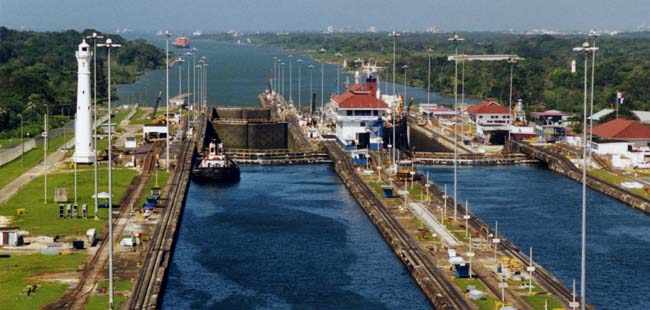 Pearl Islands Whale Watching