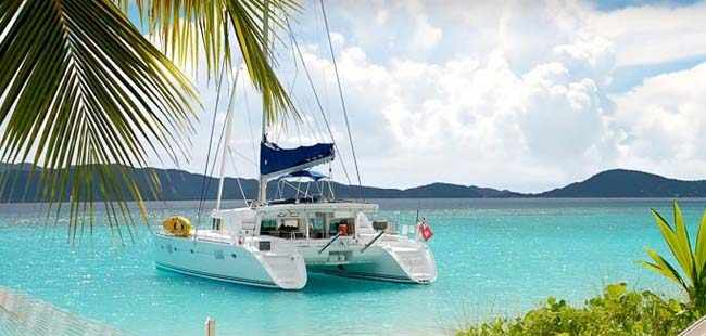 Cloud Forest & Coffee Jeep Safari