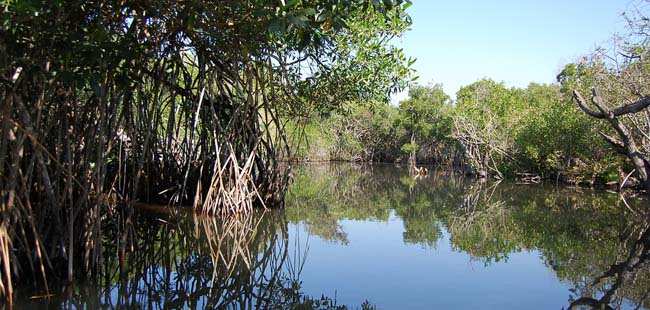 Volcano Baru Jeep Tour
