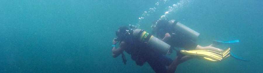 1 Tank Scuba Dive Bocas Del Toro 1