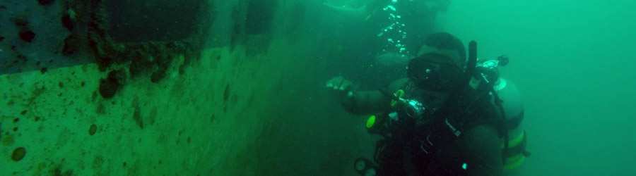1 Tank Scuba Dive Bocas Del Toro 4