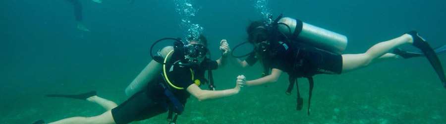 1 Tank Scuba Dive Bocas Del Toro 5