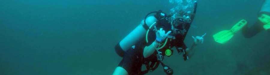 1 Tank Scuba Dive Bocas Del Toro 8