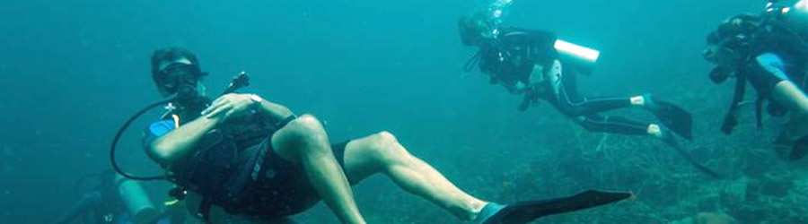2 Tank Scuba Dive Bocas Del Toro 2