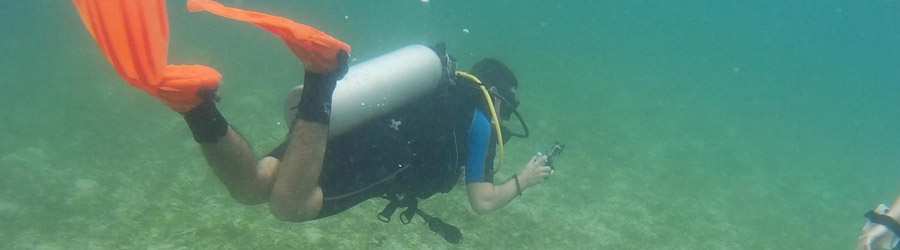 2 Tank Scuba Dive Bocas Del Toro 6