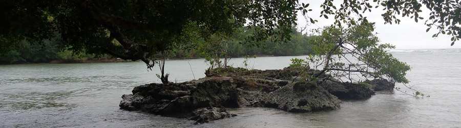 Bocas Town ATV Rentals 5