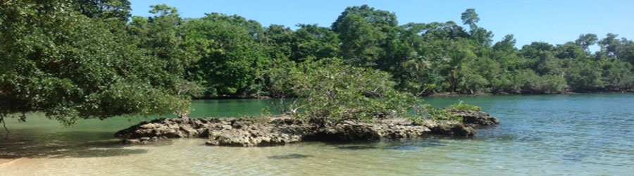 Bocas Town ATV Tour 6
