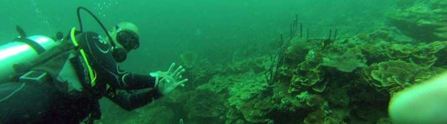 Bocas del Toro Discover Scuba 4