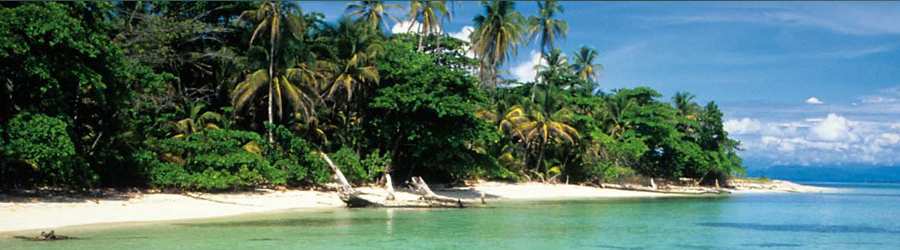 Bocas Del Toro to San Jose, Costa Rica (Caribe Shuttle + Boat) 1