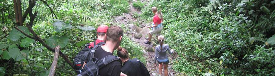 Boquete Birdwatching 1