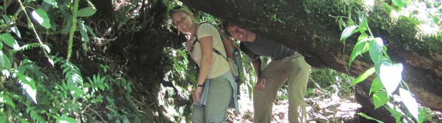 Boquete Birdwatching 3