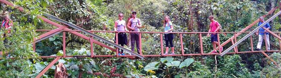 Boquete Birdwatching 8