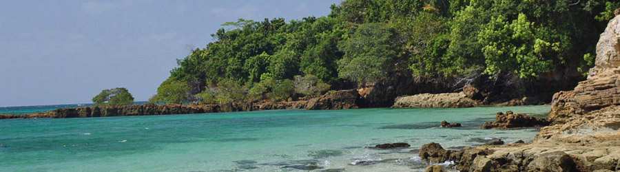 Caribbean Scuba & Private Island 6