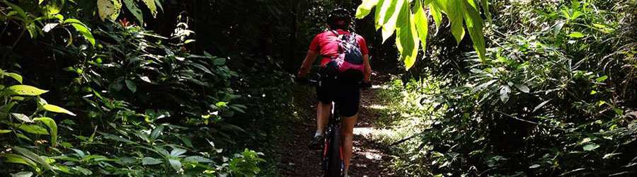 Cocoa Plantation Mountain Bike Tour 7