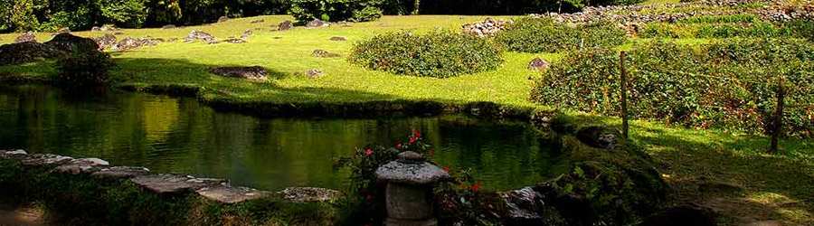 Customized Private Sightseeing Tours 8