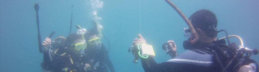 Discover Scuba Resort Course 3