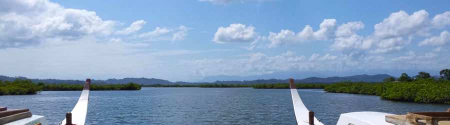 Dolphin Bay Catamaran Snorkeling Tour 4