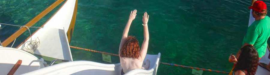 Dolphin Bay Catamaran Snorkeling Tour 7