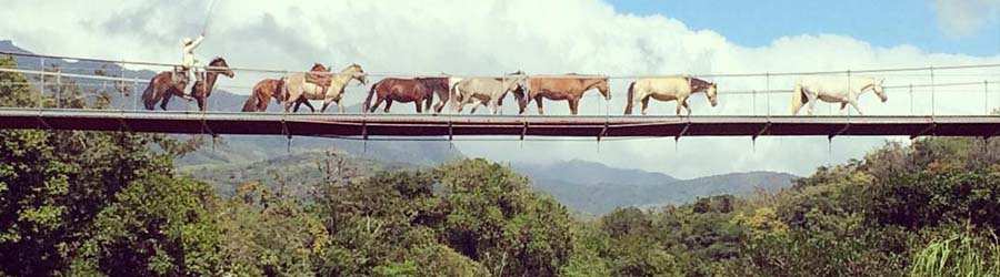 Hot Springs by Horseback Tour 7