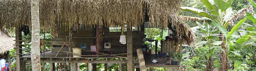 Indian Village Tour 5