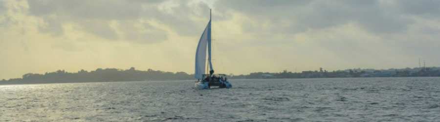Bocas del Toro Catamaran Sailing Tour 4