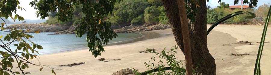 Metro Park & Punta Culebra Discovery Eco-Tour 2