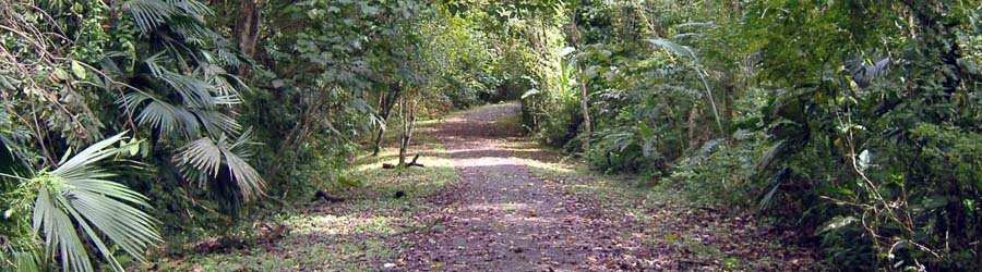Metro Park & Punta Culebra Discovery Eco-Tour 3