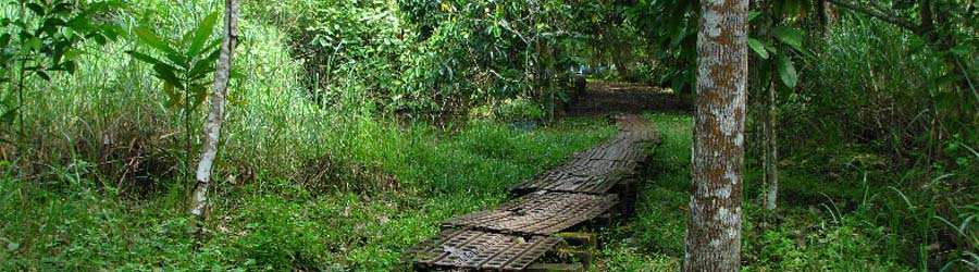 Metro Park & Punta Culebra Discovery Eco-Tour 8