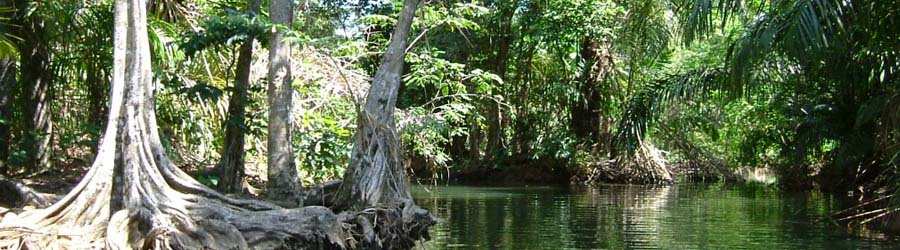 Monkey Island Tour 4