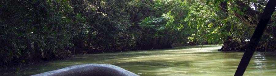 Monkey Island Tour 8