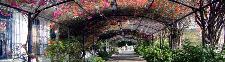 Panama City Past To Present Combo Tour 5