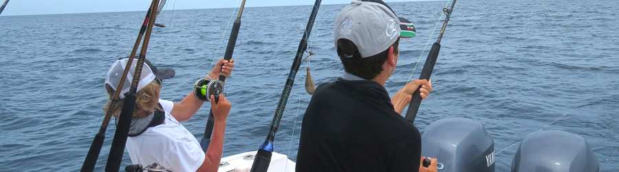 Panama Whale Watching Private Charters 7