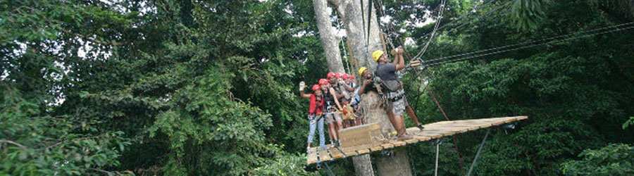 Red Frog Beach Canopy Tour 4