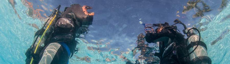 Scuba Diver Referral Course 4