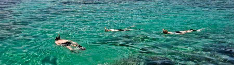 Snorkeling and Zip-line Caribbean Adventure 5