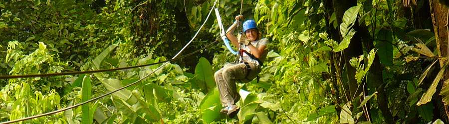 Snorkeling and Zip-line Caribbean Adventure 6