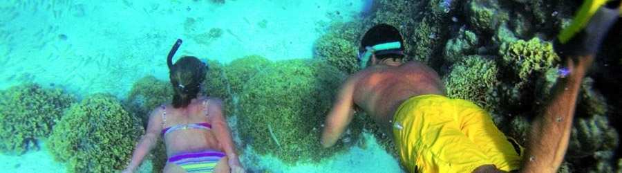 Snorkeling and Zip-line Caribbean Adventure 8