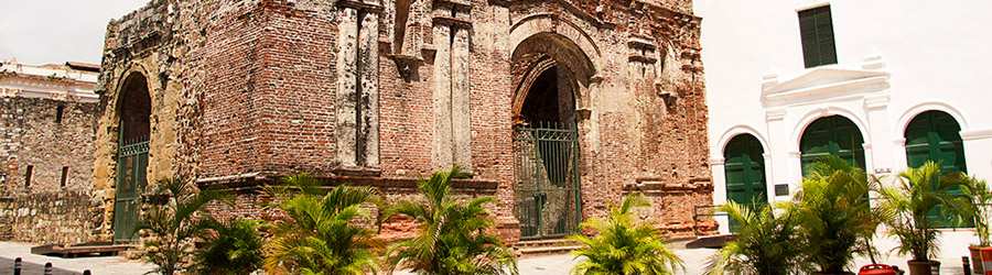 Tropical Cross-Country Safari 5