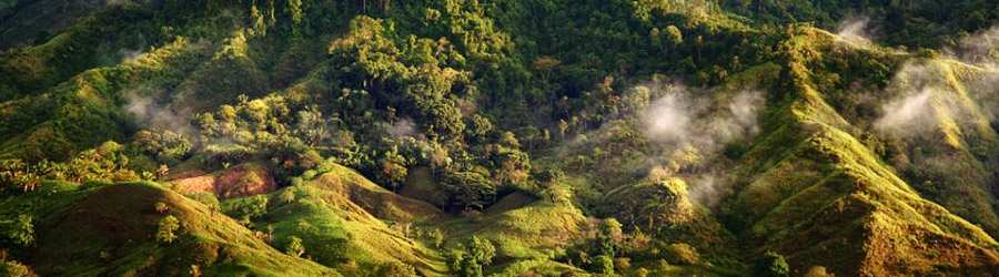 Tropical Cross-Country Safari 7