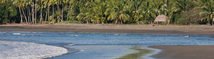 Tropical Cross-Country Safari 8