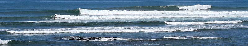 Tropical Cross-Country Safari / One week in Panama