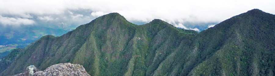 Volcano Baru Jeep Tour 5