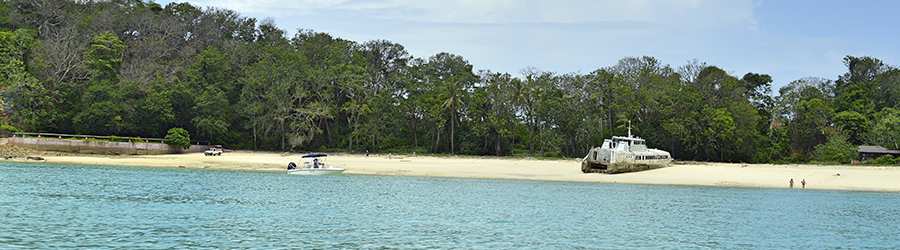 Pearl Islands Panama Whale Watching & Chapera Island Beach Break 1